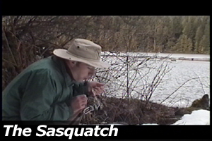 The Sasquatch